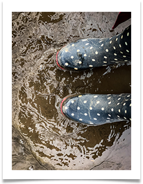 2020 18 wellies B73AE3E6-965C-49C0-B735-DAFF528BE25F - Carol Sparkes